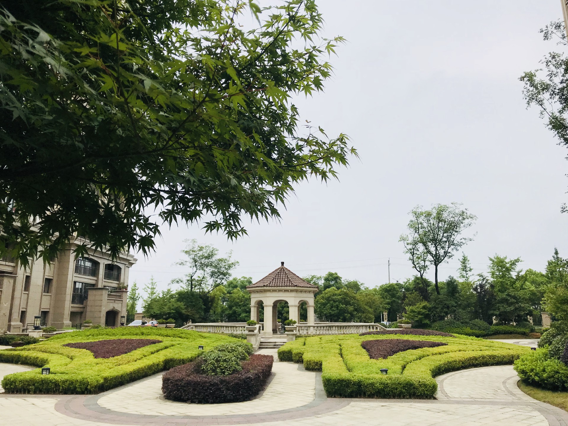 1601389935102268.jpg 張?jiān)婄?jpg